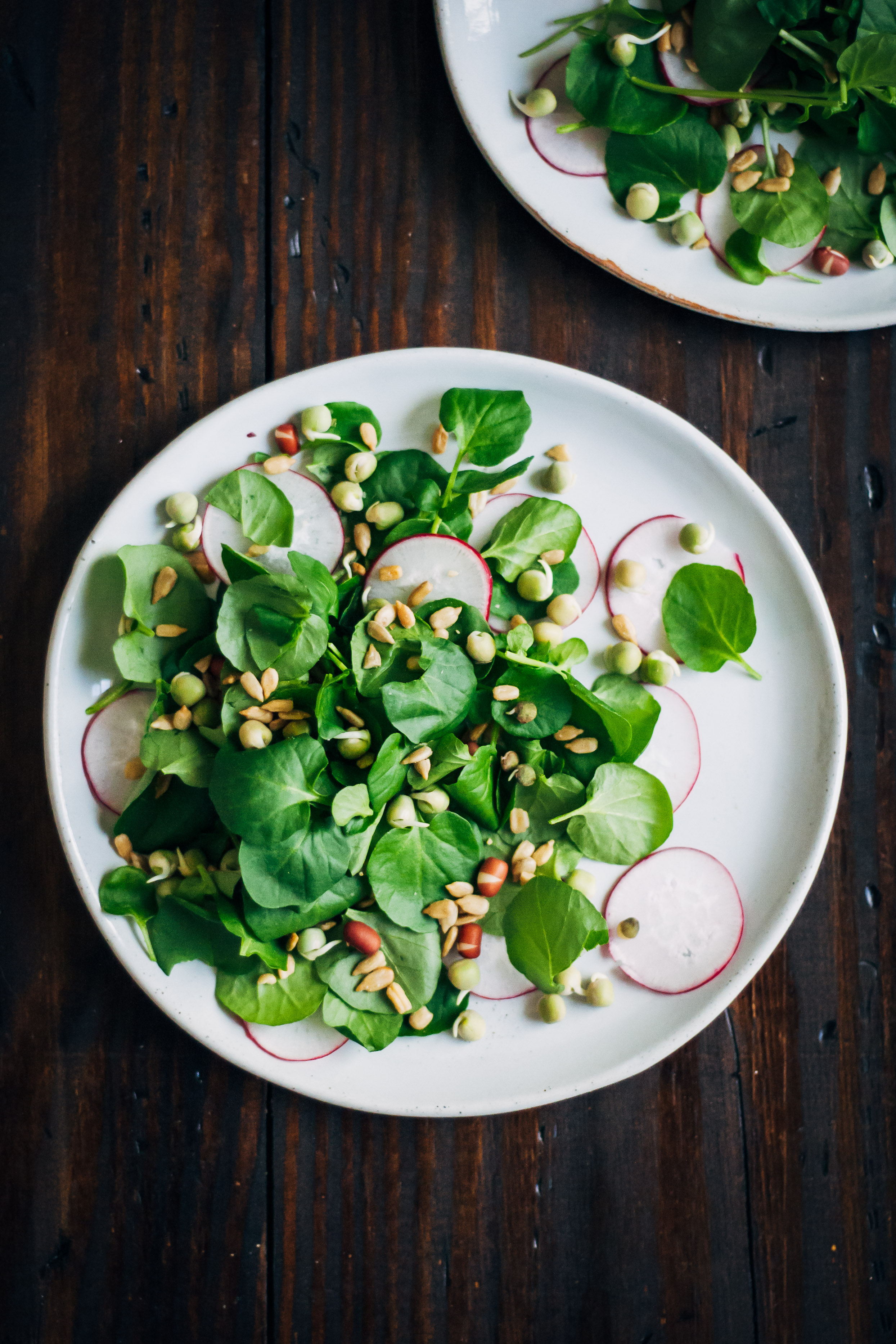 Spring Gratitude Salad | Well and Full | #vegan #recipe