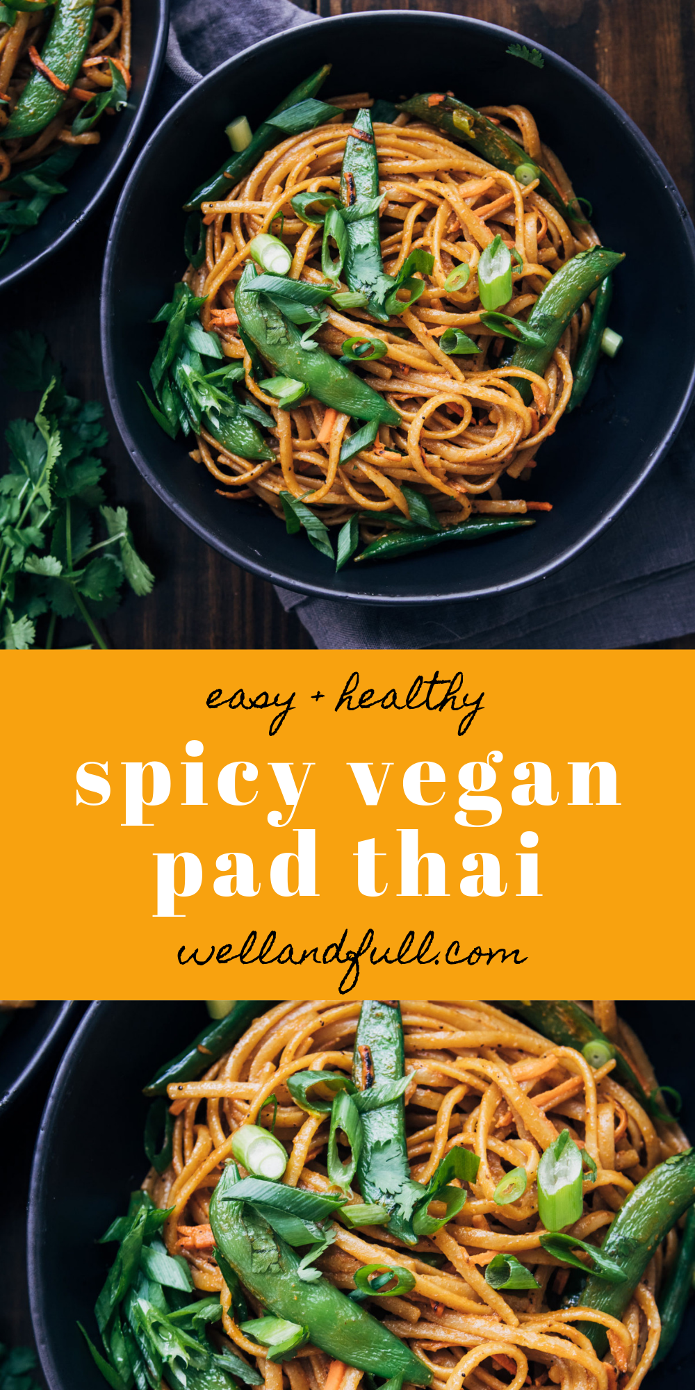 Spicy Vegan Pad Thai | Well and Full | #plantbased #vegan #recipe