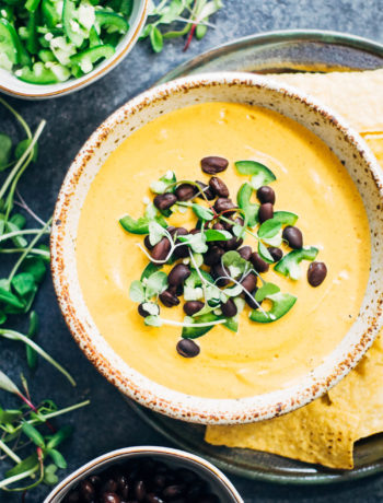 Spicy Vegan Queso | Well and Full | #healthy #vegan #recipe
