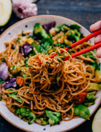 Shirataki Noodles | Well and Full | #vegan #healthy #recipe