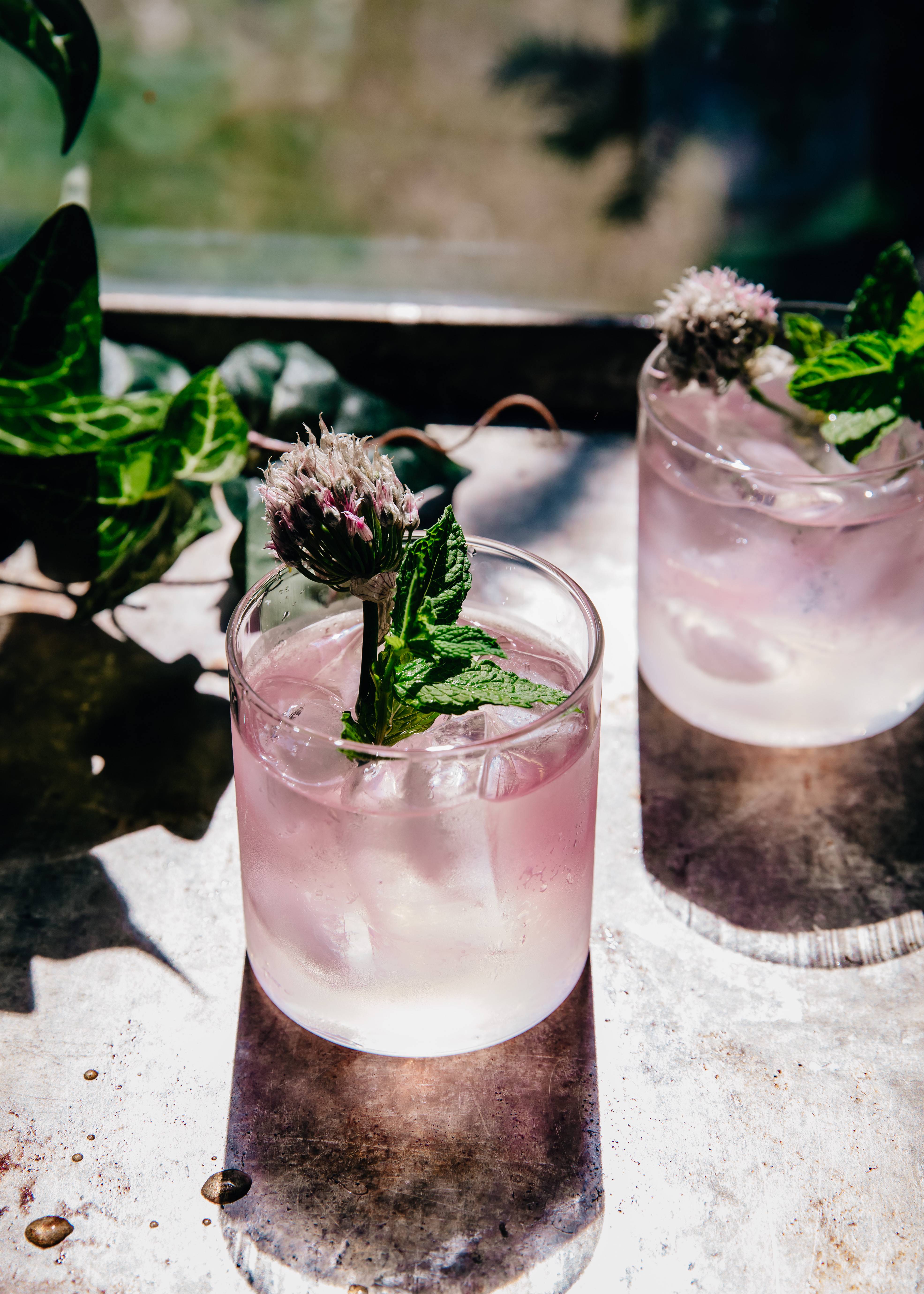 Chive Blossom Shrub Cocktails | Well and Full | #spring #cocktail #recipe
