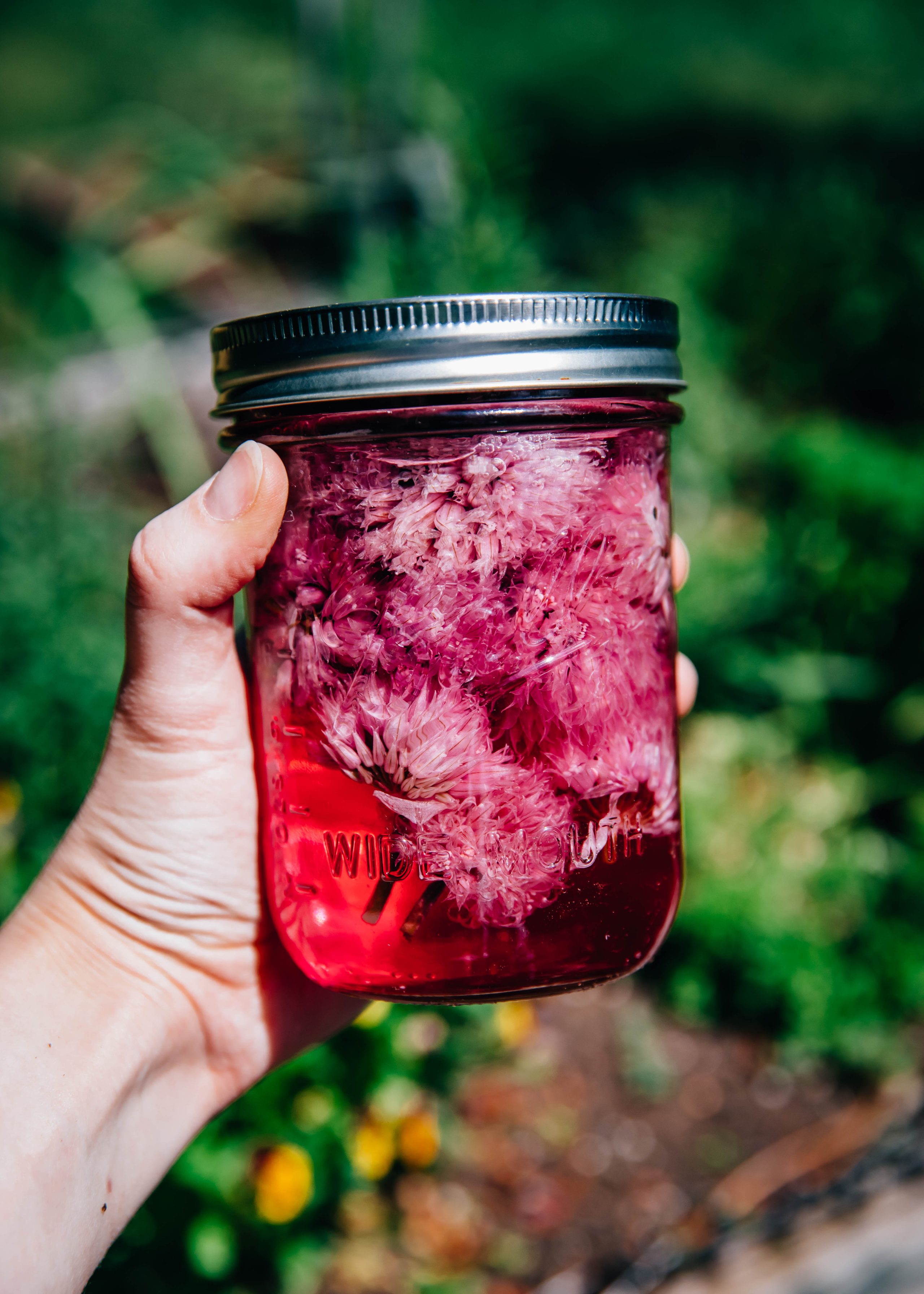 Chive Blossom Vinegar | Well and Full | #recipe #spring #herbs #DIY