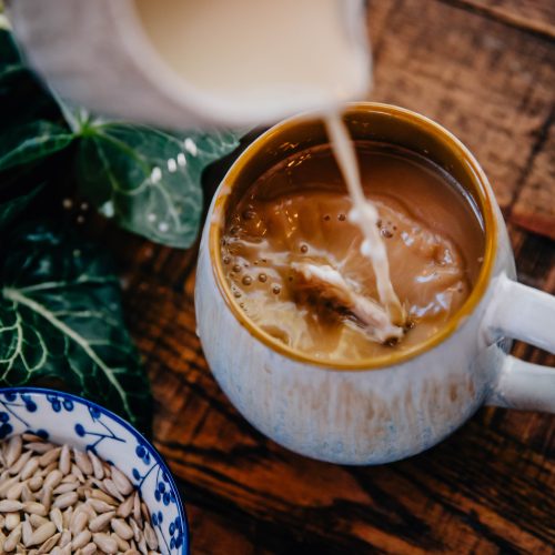 Super Seed Milk | Well and Full | #wellness #health #nutrients #vegan #plantbased