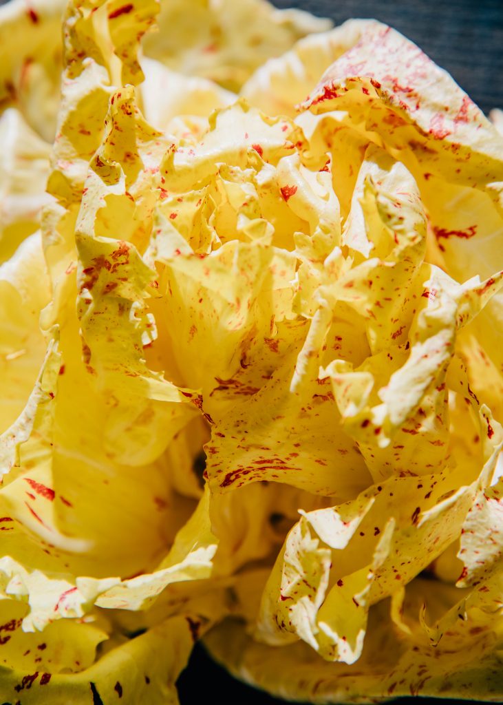 Radicchio Chopped Salad | Well and Full | #vegetarian #recipe