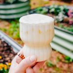 Ponderosa Lemon Brazilian Lemonade | Well and Full | #recipe #lemons