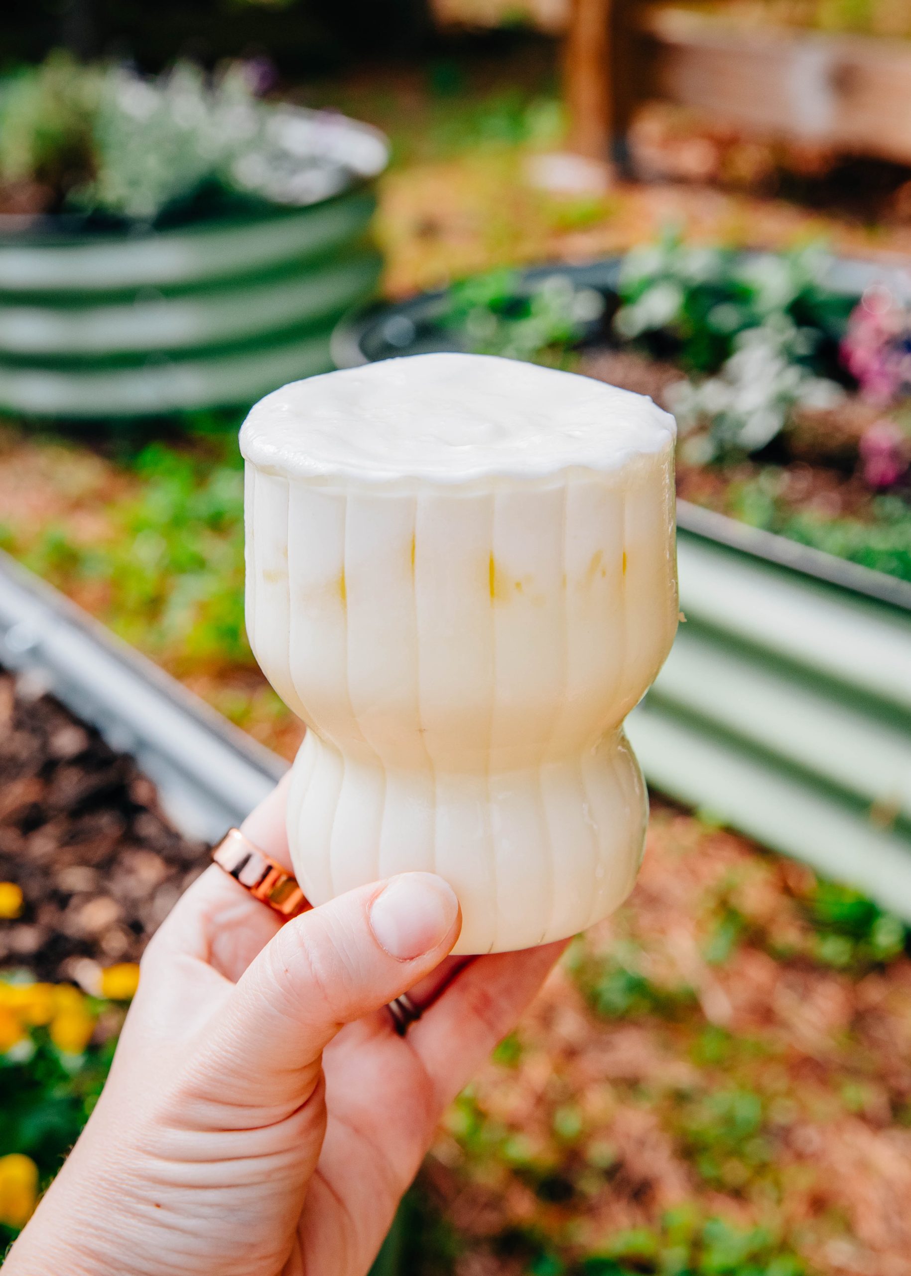 Ponderosa Lemon Brazilian Lemonade | Well and Full | #recipe #lemons