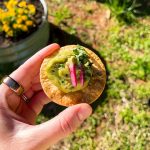 Avocado Tostadas | Well and Full | #vegetarian #recipe #appetizer