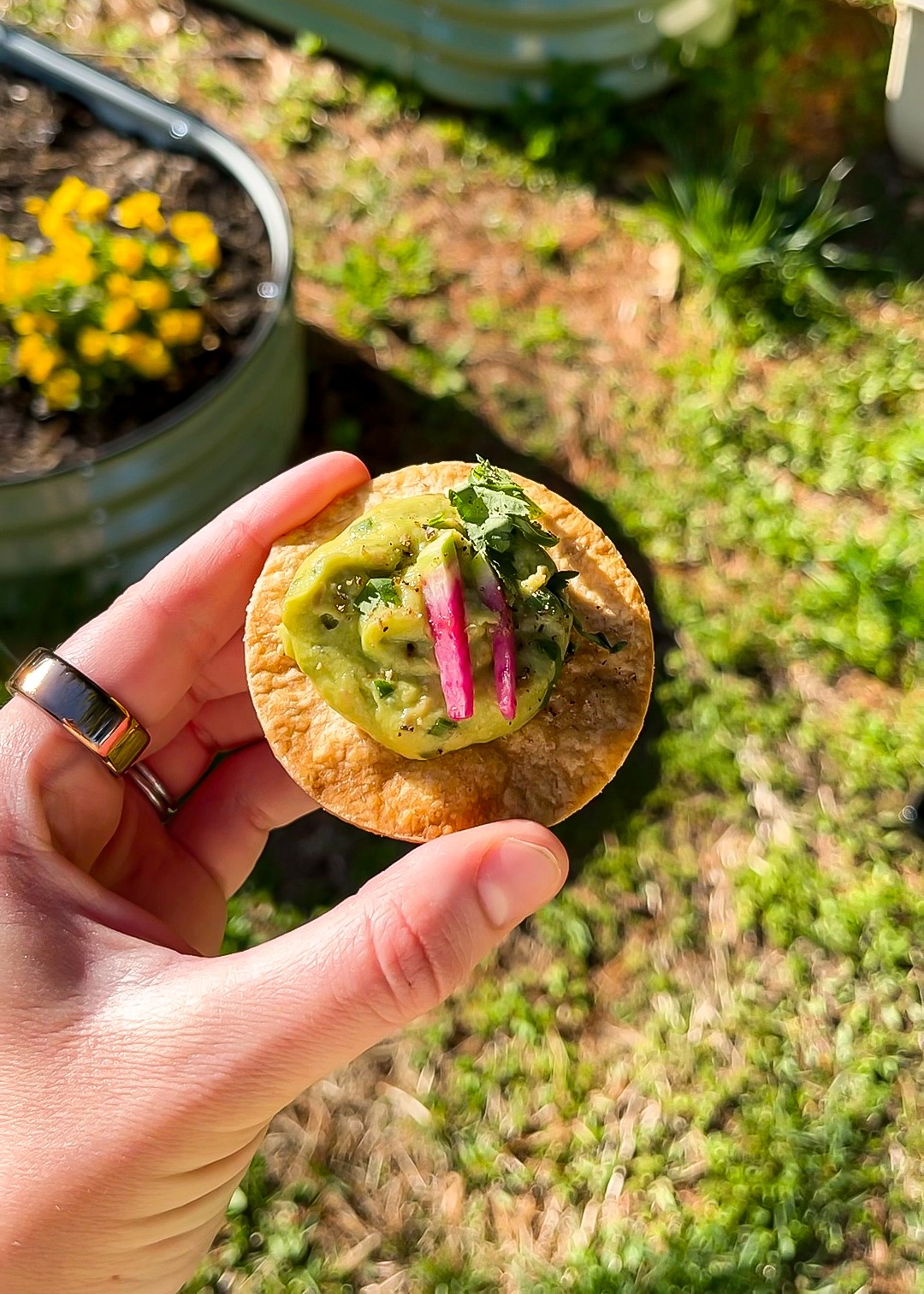 Avocado Tostadas | Well and Full | #vegetarian #recipe #appetizer