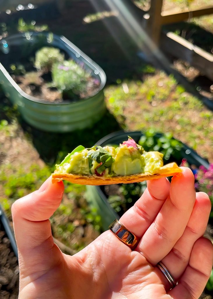 Avocado Tostadas | Well and Full | #vegetarian #recipe #appetizer