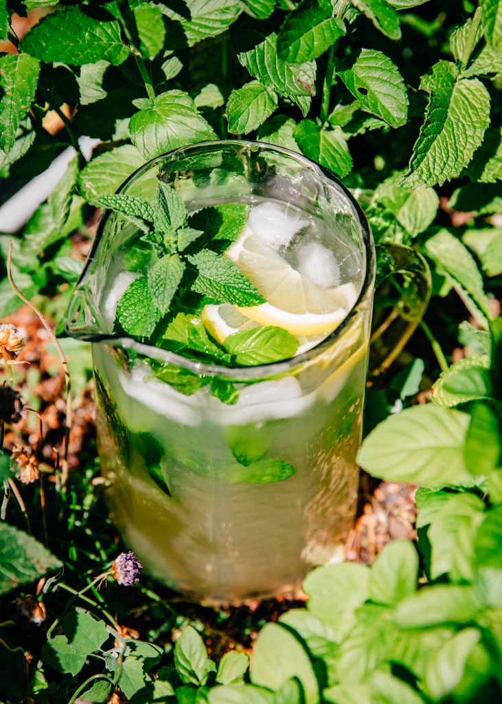Garden Mint Lemonade | Well and Full | #recipe #vegan #mint #garden