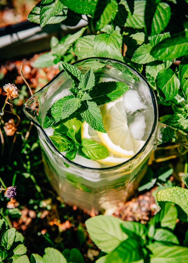 Garden Mint Lemonade | Well and Full | #recipe #vegan #mint #garden